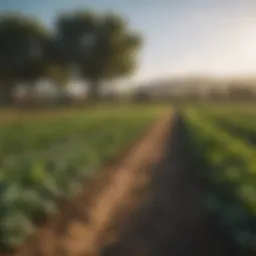 Lush organic farmland with diverse crops