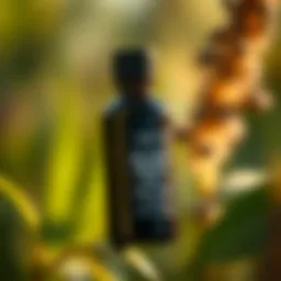 Exploring the Benefits and Uses of Black Seed Oil Introduction