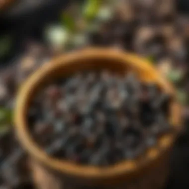 Exploring the Benefits and Uses of Black Seed Oil Summary