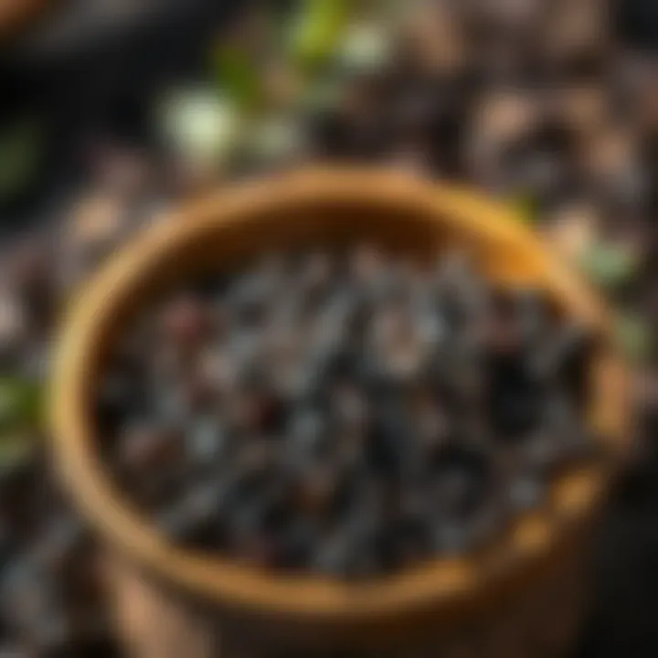 Exploring the Benefits and Uses of Black Seed Oil Summary