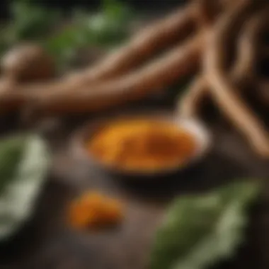 The Lively Essence of Uno Turmeric Vibrant Uno turmeric roots with leaves