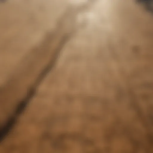 Aerial view of drought-affected farmland