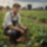 A lush, sustainable farm showcasing diverse crops and innovative techniques