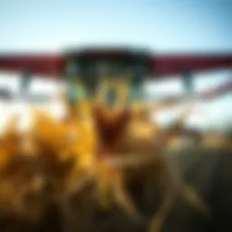 Detailed view of Farm King hay rake teeth