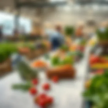 Illustration showing the journey of food from farm to consumer