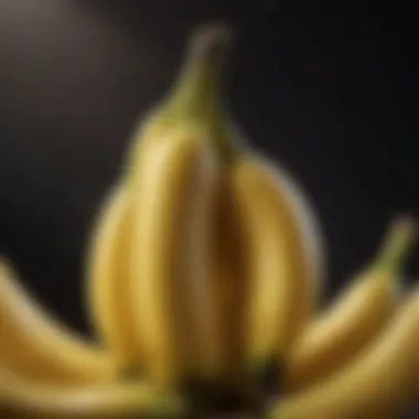 A detailed view of a banana emphasizing its potassium content