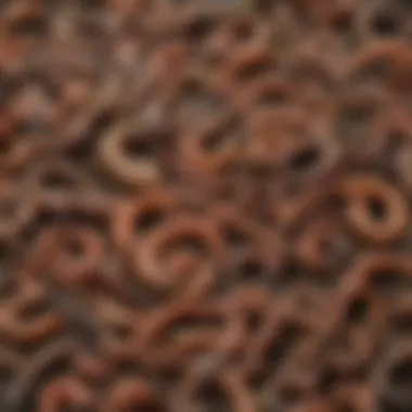 Different types of garden worms on a wooden surface