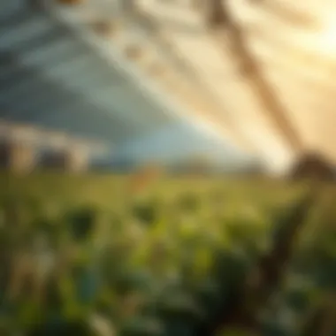 Enhancing Agricultural Research Through Grants Agricultural research enhancement