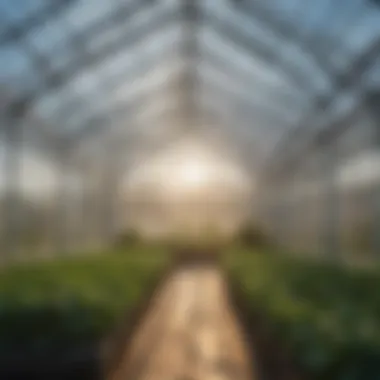 Utilization of Insulated PVC Panels in Greenhouses Application of insulated PVC wall panels in a greenhouse environment