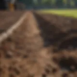 Overview of lawn ruts caused by construction work