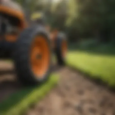 Essential Tools for Lawn Restoration Tools and materials required for lawn repair