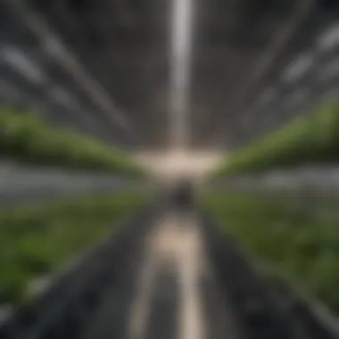 Indoor hydroponic farm with advanced lighting systems