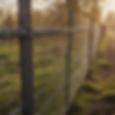 Setting Up Wire Mesh Fencing Installation of wire mesh fencing on a farm