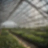 A modern insulated greenhouse showcasing innovative design and technology