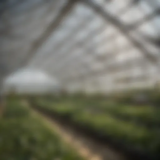 A modern insulated greenhouse showcasing innovative design and technology