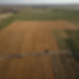 Aerial view of Muleshoe showcasing agricultural fields
