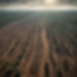 Aerial view of deforestation showing cleared land and remaining forest.