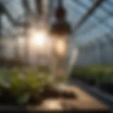 Close-up of a metal halide bulb illuminating a greenhouse