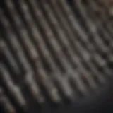 Detailed view of Milwaukee hex bits showcasing design features