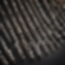 Detailed view of Milwaukee hex bits showcasing design features