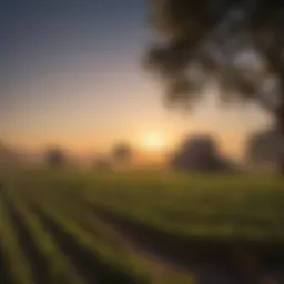 A scenic view of a North Carolina farm at sunrise