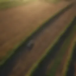 Aerial view of diverse farmland showcasing sustainable practices