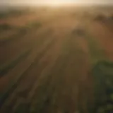 Aerial view of diverse farmland showcasing the variety of landscapes and agricultural practices.