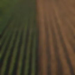 Aerial view of a thriving Oklahoma farm showcasing diverse crops