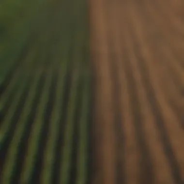 Diverse Crops in Oklahoma Aerial view of a thriving Oklahoma farm showcasing diverse crops
