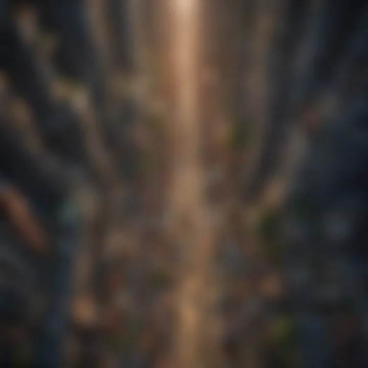 Aerial view of a crowded urban area highlighting overpopulation