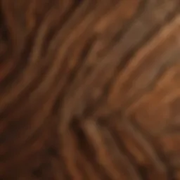 Close-up view of penta treated wood showcasing its unique grain and texture.