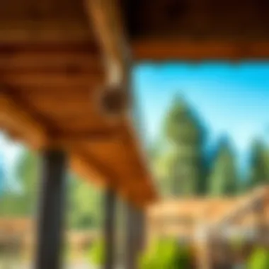 Diverse Applications of Pressure Treated Pine A variety of outdoor projects utilizing pressure treated pine lumber