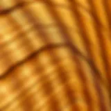 Close-up view of pressure treated pine lumber showcasing its grain and texture