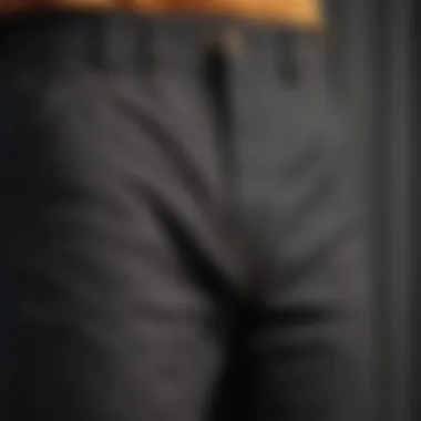 Durable Fabric of Riggs Pants Close-up of Riggs pants showcasing durable fabric
