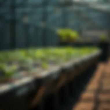 Rolling Grow Benches: An In-Depth Examination Summary