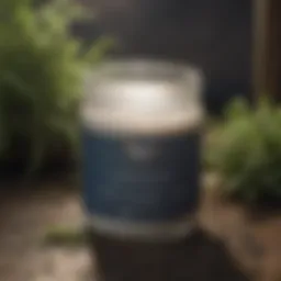 Rooting hormone powder in a container