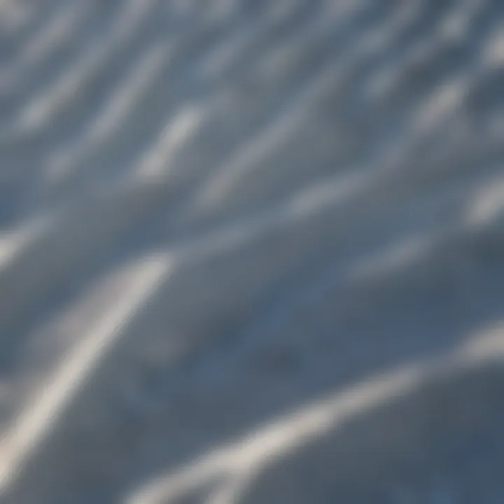 Close-up of various greenhouse cover materials laid out for comparison