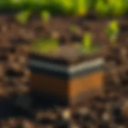 Illustration of soil layers showing nitrogen levels