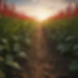 A vibrant field showcasing diverse crops flourishing under optimal conditions.