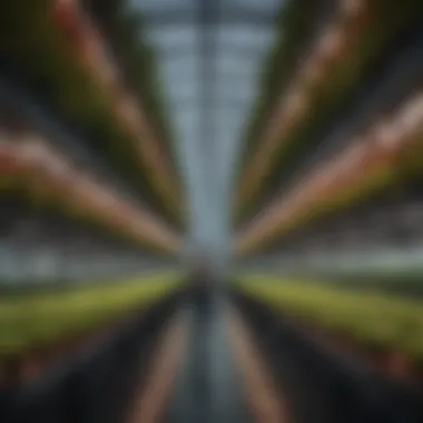 Innovative Vertical Farming Greenhouse An innovative greenhouse utilizing vertical farming techniques for maximum space efficiency.