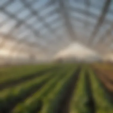 Sustainable Agriculture with Insulated Greenhouses Sustainable agricultural practices enabled by insulated greenhouses