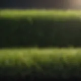 Vibrant landscape showcasing synthetic grass