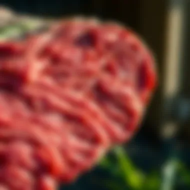 Close-Up of Grass-Fed Beef Close-up of grass-fed beef showcasing marbling and texture