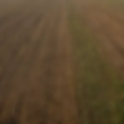 Aerial view of diverse agricultural fields affected by climate change