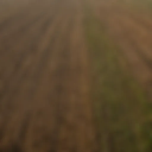 Aerial view of diverse agricultural fields affected by climate change