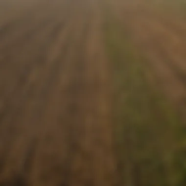 Diverse Agricultural Fields Under Climate Stress Aerial view of diverse agricultural fields affected by climate change