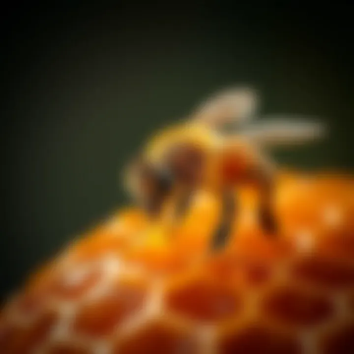 The Multifaceted Nature of Honey Bee Honey Summary