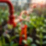 Chemical reactions involved in nitrogen fixation