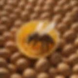 Illustration of a queen bee emerging from an egg
