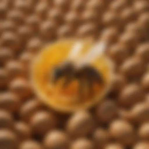 Illustration of a queen bee emerging from an egg
